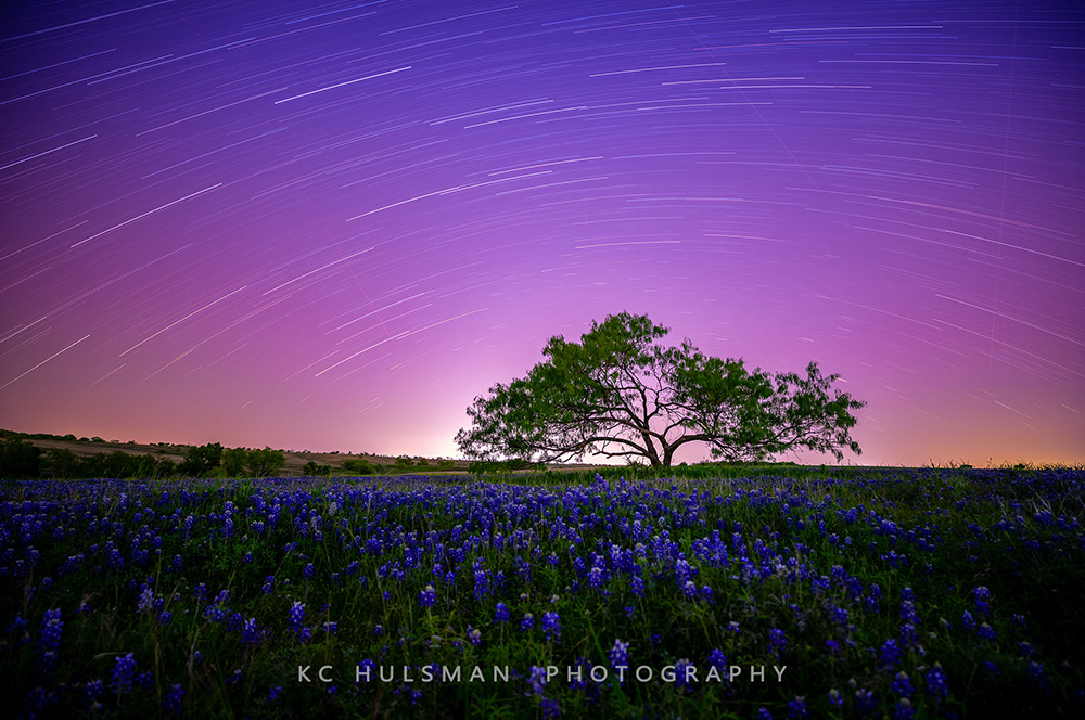 An hour's worth of star trails over a field of Texas Bluebonnets in Ellis County, Texas. Photo taken May 2021 by KC Hulsman on private property.