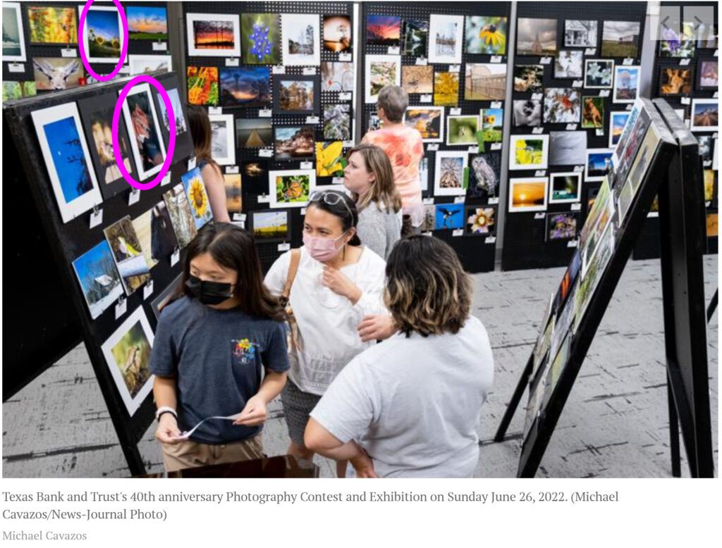 Texas Bank and Trust’s 40th Anniversary Photography Show and Exhibition photographed by Michael Cavazos of the Longview News Journal, circled images spotlight KC Hulsman's photographic work on exhibit. 